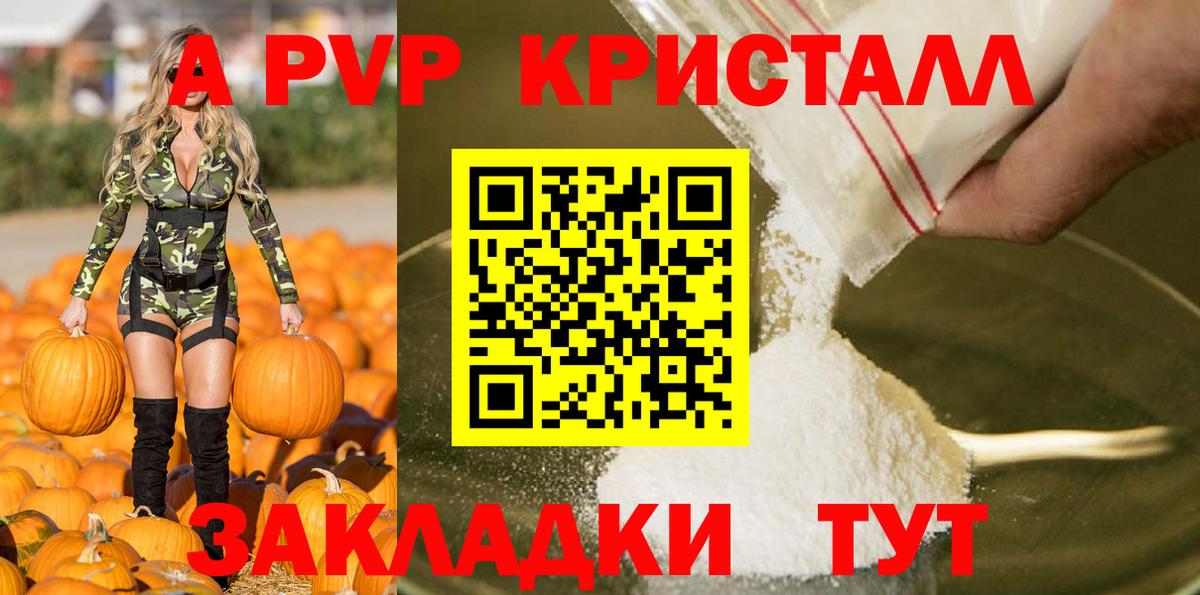 A PVP СК КРИС Киров