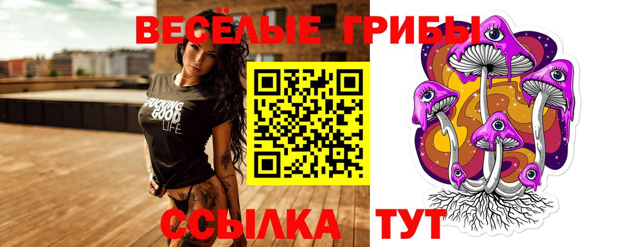 Псилоцибиновые грибы Psilocybe Киров